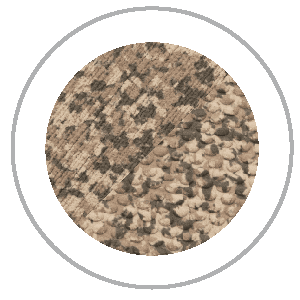 Desert Camo : Couleur